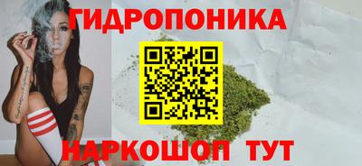 индика Донецк