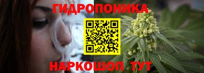 шишки Донской