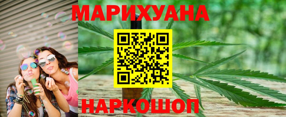 Канабис сатива Надым
